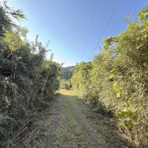 物件へ向かう道路④