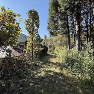 物件へ向かう道路⑤