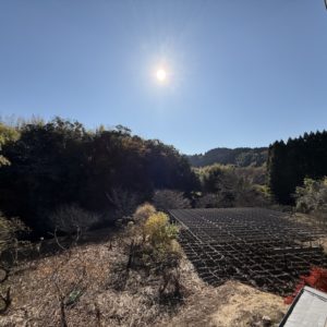 ２階からの眺望