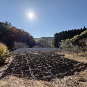 ソーラーシェアリング