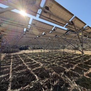 ソーラーシェアリング