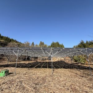 ソーラーシェアリング