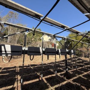 ソーラーシェアリング