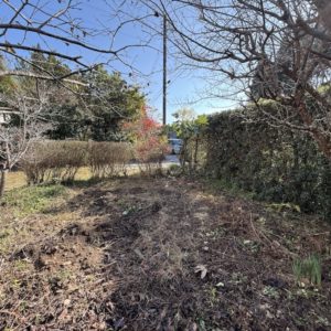 敷地内の様子